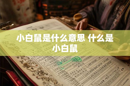 小白鼠是什么意思 什么是小白鼠