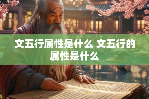 文五行属性是什么 文五行的属性是什么
