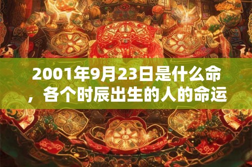 2001年9月23日是什么命，各个时辰出生的人的命运