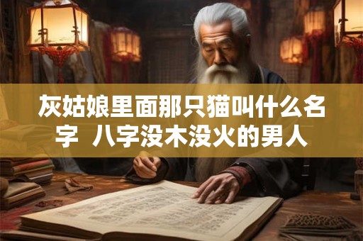 灰姑娘里面那只猫叫什么名字  八字没木没火的男人