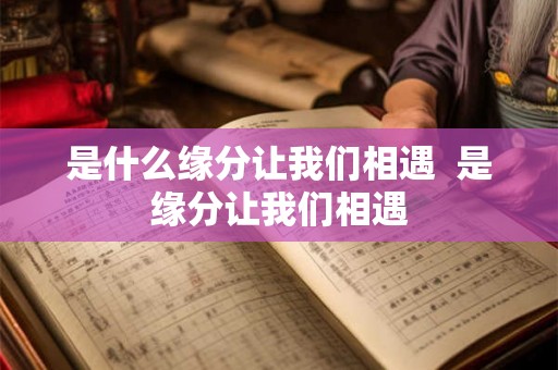 是什么缘分让我们相遇  是缘分让我们相遇