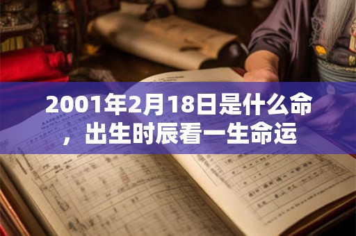 2001年2月18日是什么命，出生时辰看一生命运