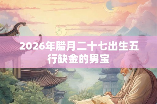 2026年腊月二十七出生五行缺金的男宝