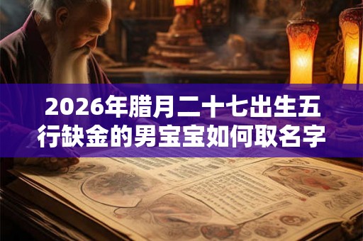 2026年腊月二十七出生五行缺金的男宝宝如何取名字
