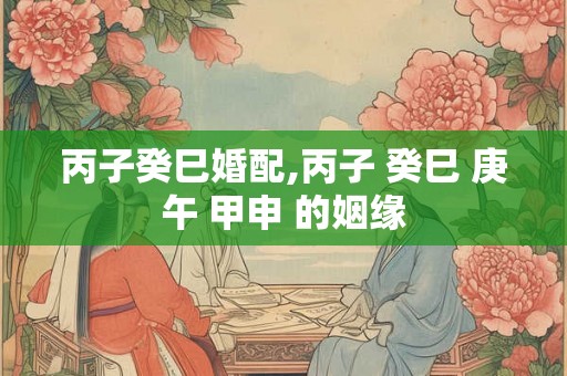 丙子癸巳婚配,丙子 癸巳 庚午 甲申 的姻缘