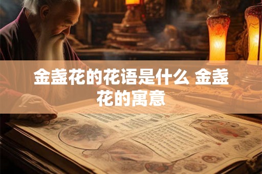 金盏花的花语是什么 金盏花的寓意
