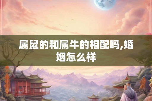 属鼠的和属牛的相配吗,婚姻怎么样