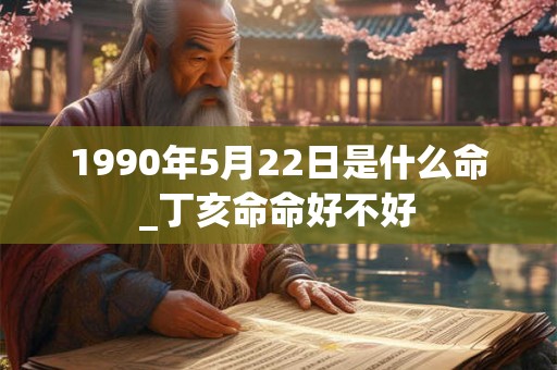 1990年5月22日是什么命_丁亥命命好不好