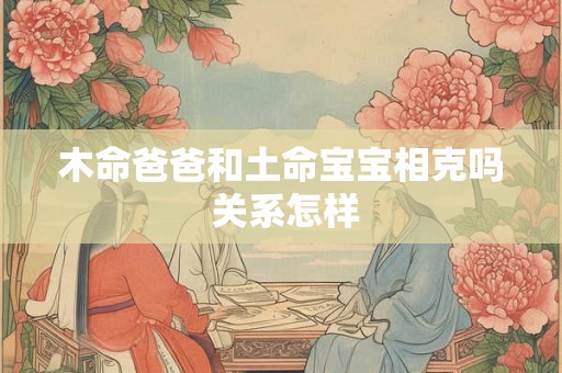 木命爸爸和土命宝宝相克吗 关系怎样
