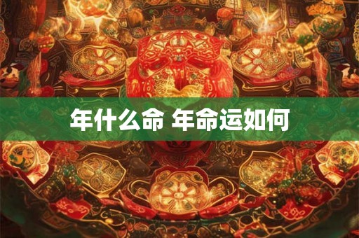 年什么命 年命运如何