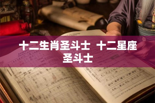 十二生肖圣斗士  十二星座圣斗士