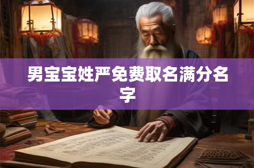 男宝宝姓严免费取名满分名字