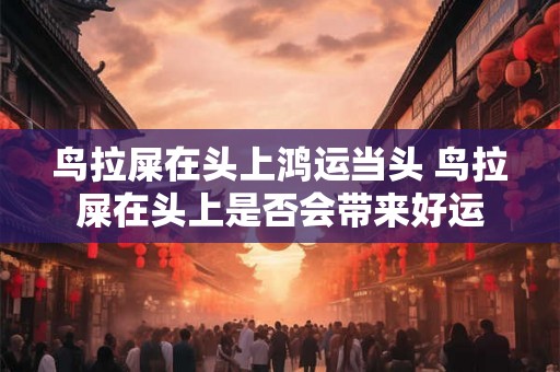 鸟拉屎在头上鸿运当头 鸟拉屎在头上是否会带来好运