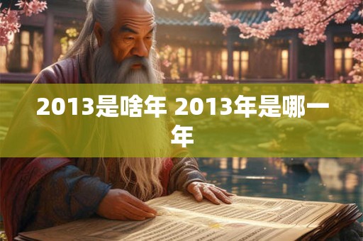 2013是啥年 2013年是哪一年