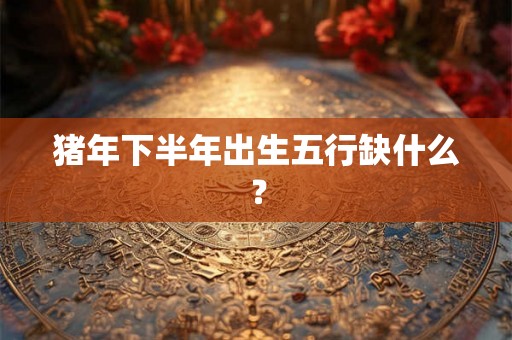 猪年下半年出生五行缺什么？
