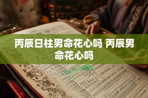 丙辰日柱男命花心吗 丙辰男命花心吗
