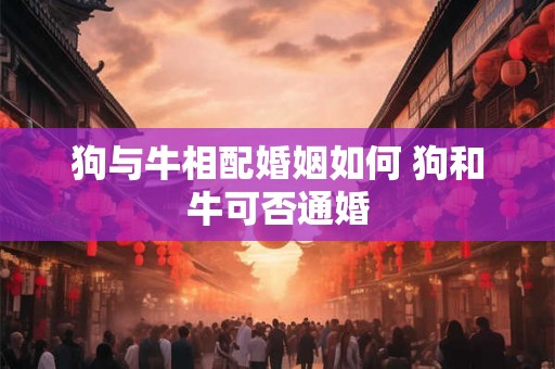 狗与牛相配婚姻如何 狗和牛可否通婚