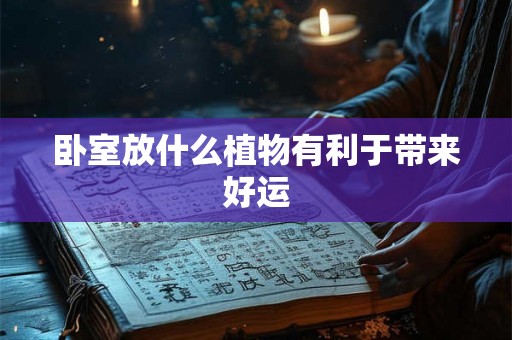 卧室放什么植物有利于带来好运