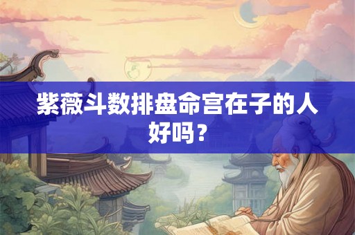 紫薇斗数排盘命宫在子的人好吗？