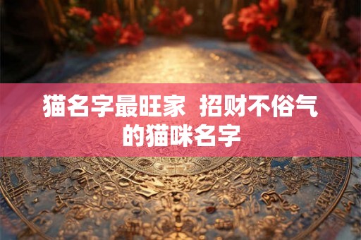 猫名字最旺家  招财不俗气的猫咪名字