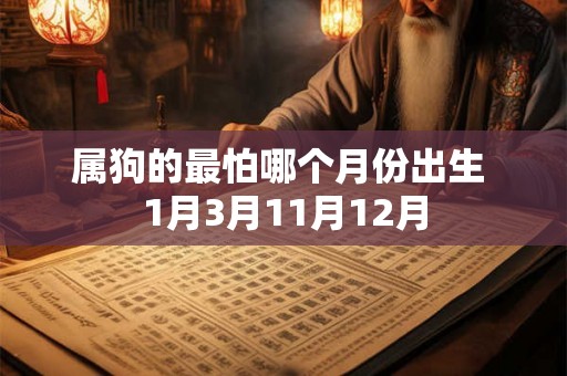 属狗的最怕哪个月份出生 1月3月11月12月