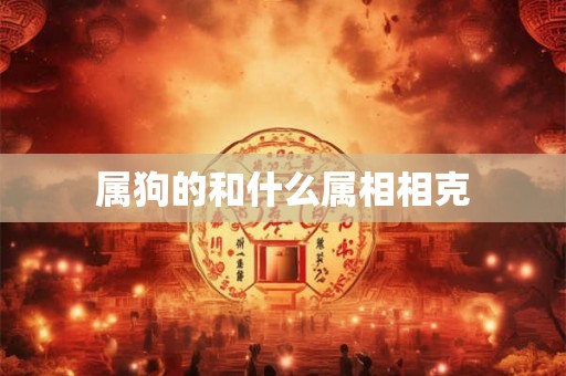 属狗的和什么属相相克
