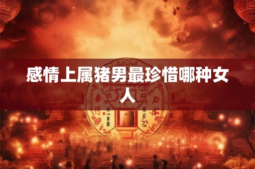 感情上属猪男最珍惜哪种女人