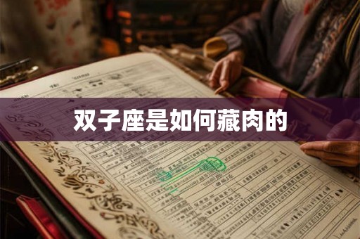 双子座是如何藏肉的