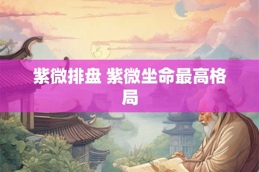紫微排盘 紫微坐命最高格局