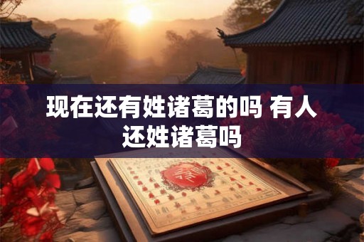 现在还有姓诸葛的吗 有人还姓诸葛吗