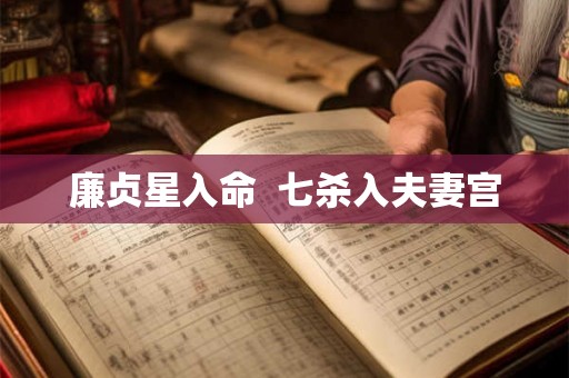 廉贞星入命  七杀入夫妻宫