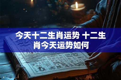 今天十二生肖运势 十二生肖今天运势如何