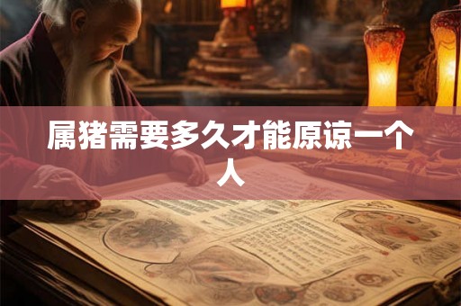 属猪需要多久才能原谅一个人