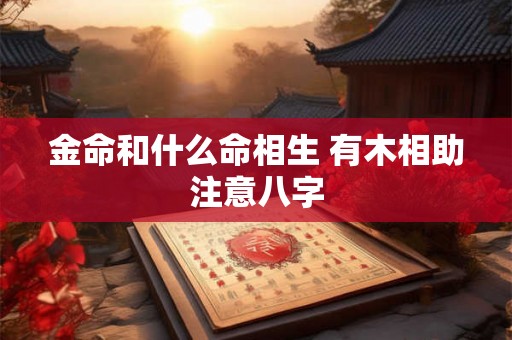 金命和什么命相生 有木相助注意八字