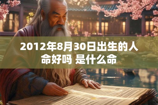 2012年8月30日出生的人命好吗 是什么命