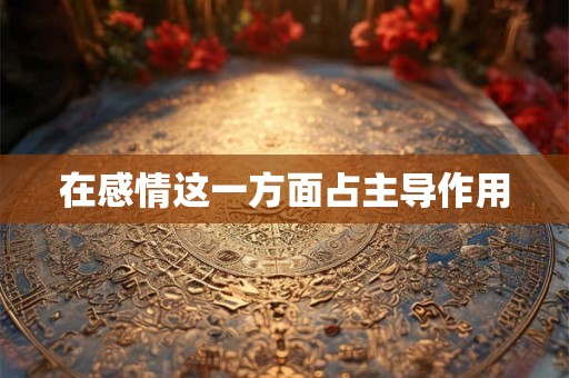 在感情这一方面占主导作用