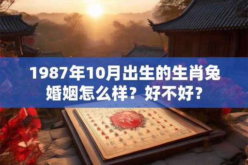 1987年10月出生的生肖兔婚姻怎么样？好不好？