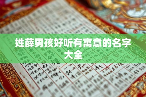 姓薛男孩好听有寓意的名字大全