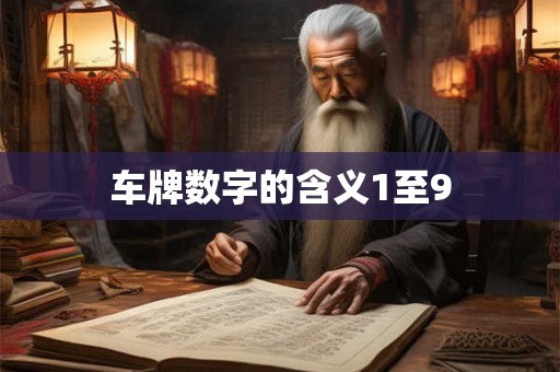 车牌数字的含义1至9