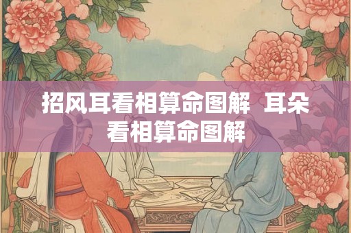 招风耳看相算命图解  耳朵看相算命图解