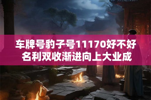 车牌号豹子号11170好不好 名利双收渐进向上大业成就