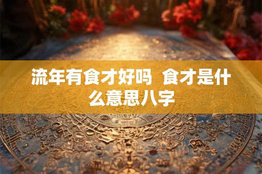 流年有食才好吗  食才是什么意思八字