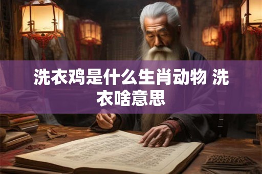 洗衣鸡是什么生肖动物 洗衣啥意思