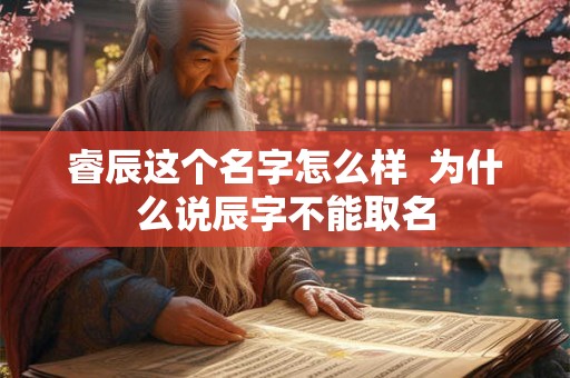 睿辰这个名字怎么样  为什么说辰字不能取名