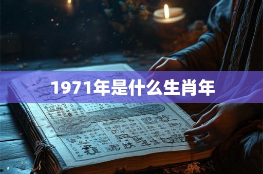 1971年是什么生肖年
