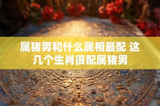 属猪男和什么属相最配 这几个生肖很配属猪男