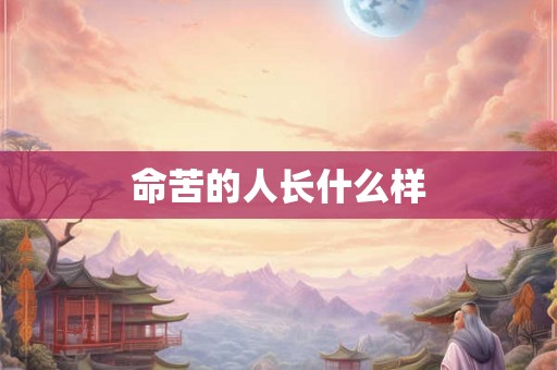 命苦的人长什么样 命苦的人长什么样