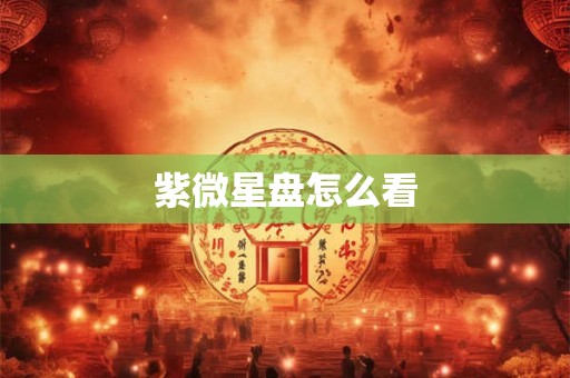 紫微星盘怎么看 紫微星盘怎么看
