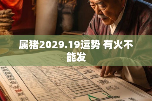 属猪2029.19运势 有火不能发