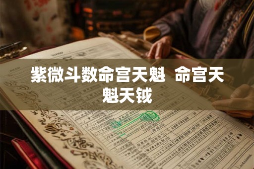 紫微斗数命宫天魁  命宫天魁天钺